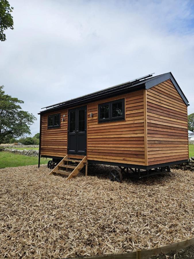 Woodland Shephards Hut - 'aristocrat' * Caernarfon