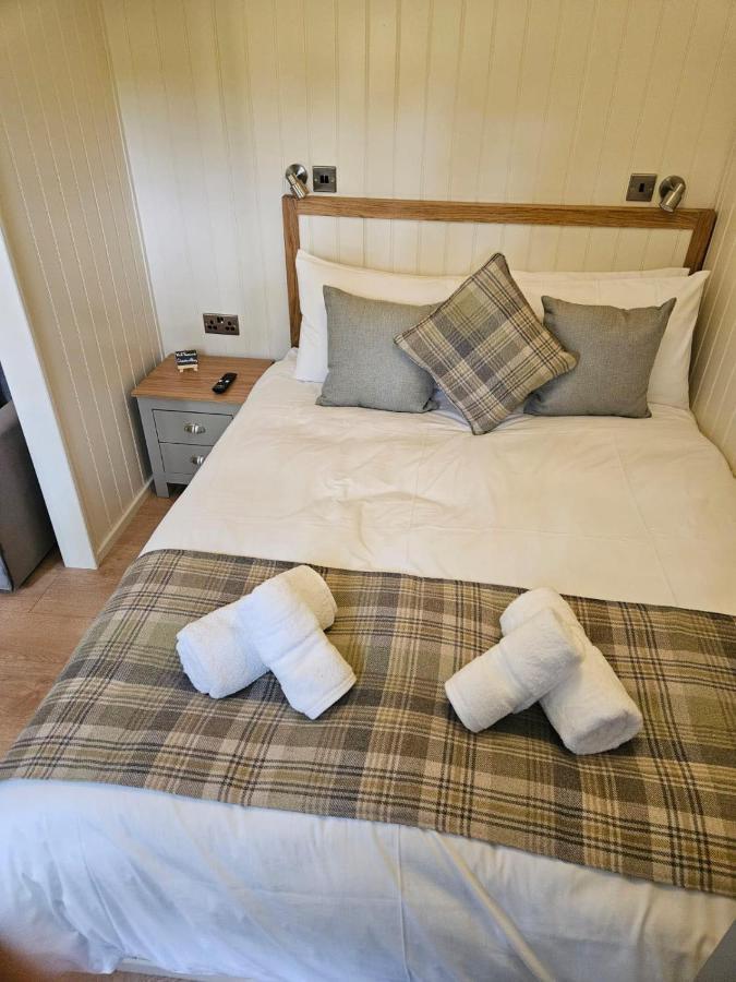 Woodland Shephards Hut - 'aristocrat' Lodge Caernarfon