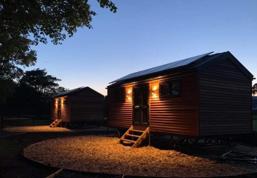 Woodland Shephards Hut - 'aristocrat' Lodge *